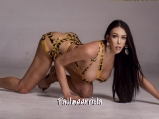 Paulinaarriola