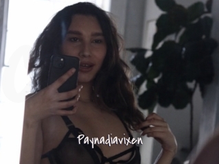 Paynadiavixen