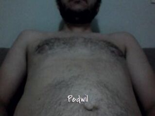 Pedwil