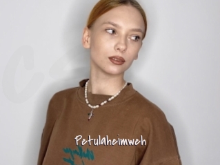 Petulaheimweh