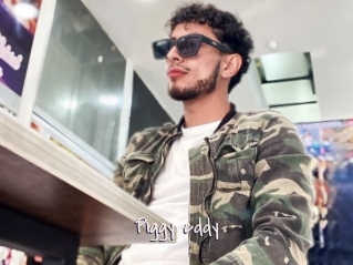 Piggy_eddy