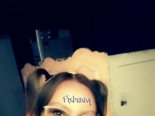 Pixbunny