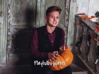 Playfulboydavid