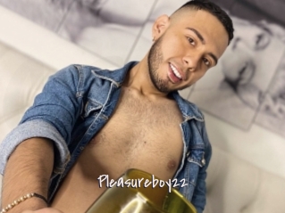 Pleasureboy22