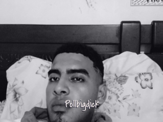 Pollbigdick