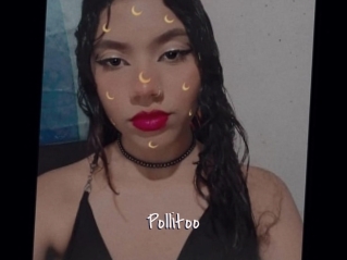 Pollitoo