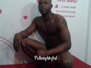 Pollonplayful