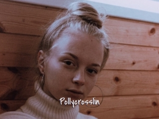 Pollycrosslin