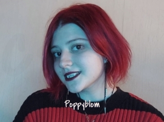 Poppyblom