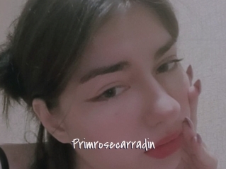 Primrosecarradin