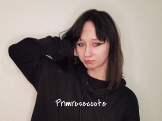 Primrosecoote