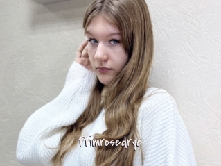 Primrosedrye