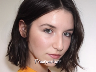 Primrosefurr