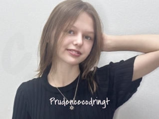 Prudencecodringt