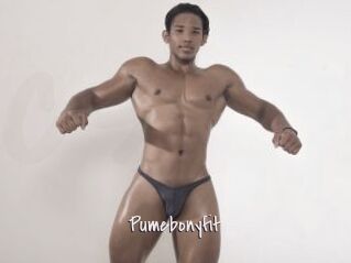 Pumebonyfit