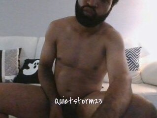 Quietstorm23