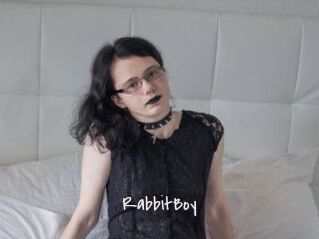 RabbitBoy