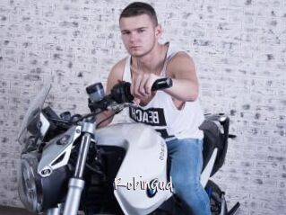 RobinGud