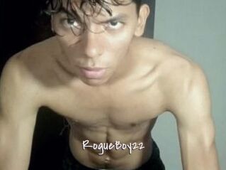 RogueBoy22