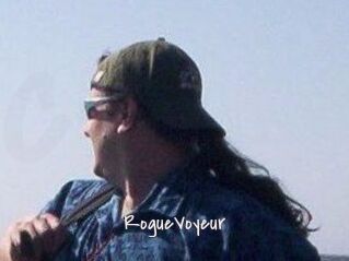 RogueVoyeur