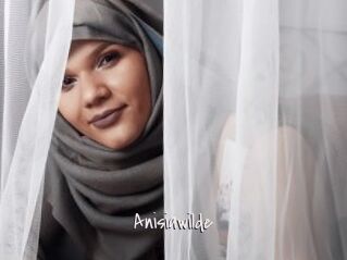 Anisiawilde