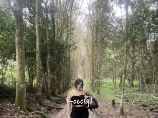Roccigil