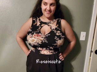 Roseiscute