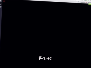 Rzs2