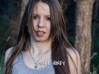 SMALL_HONEY