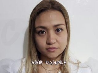 SOFIA_BIGCUMLW