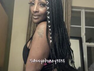 Sassyeboney3838