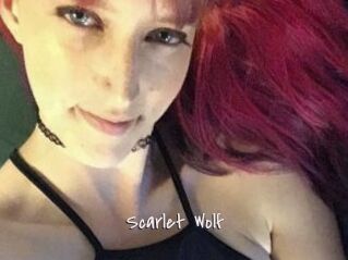 Scarlet_Wolf