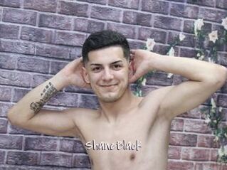 ShaneBlack