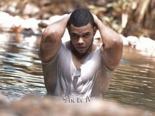 Shein_A