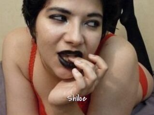 Shiloe