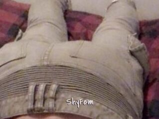 ShyFem