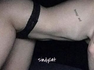 SindyCat