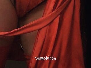 Somebitch