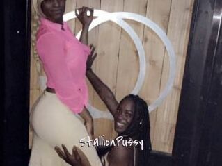 StallionPussy