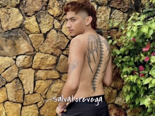 Salvatorevega