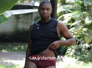 Sandrofernandes