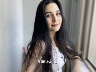 Saniedune