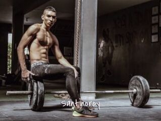 Santinorey