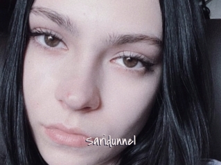 Saridunnel
