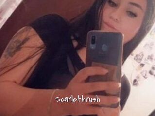 Scarlethrush
