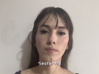 Secretsiin