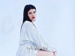 Selenabarlow