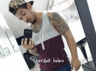 Sherdick_holes