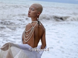 Silverdwinell