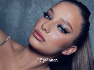 Skycannon